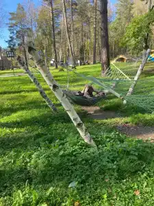 Lesnaya Lastochka - 99