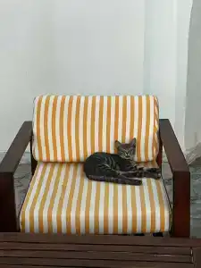 Senses - Adults Only - 20