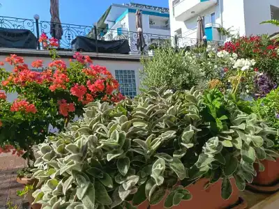 Miranda Moral Beach - 25