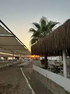 Asteria Collection - 74