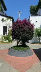 Club Marco Polo - Premium All Inclusive - 50