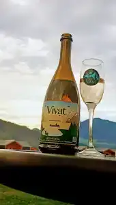 Vivat - 67