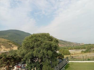 Gori Inn - 14