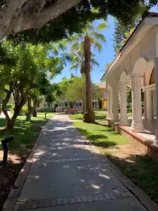 Euphoria Palm Beach Resort - 44