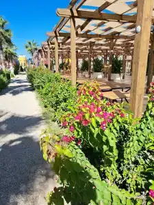 Euphoria Palm Beach Resort - 35