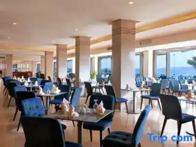 Beach Albatros Resort - 82