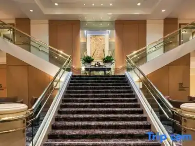 Hilton Los Angeles Airport - 22