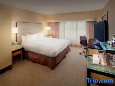 Hilton Los Angeles Airport - 55