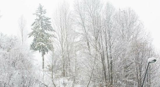 Màgic Ski by Nexta - 54