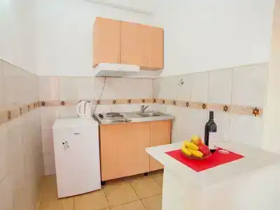 Apartments Viktorija - 2