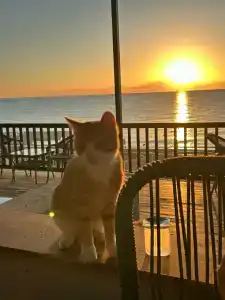 Fun&Sun Club Saphire  - 34