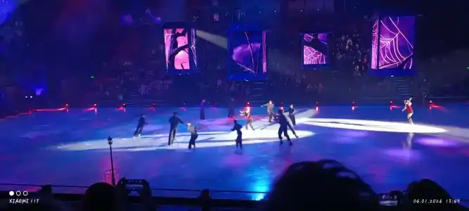 Dvorets Iriny Viner - 48