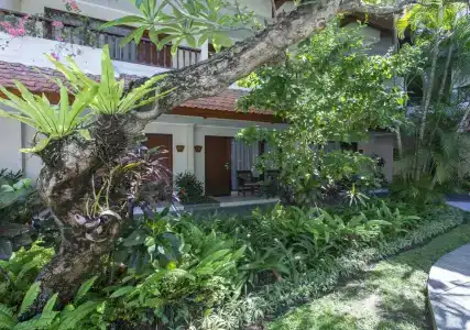 Bali Rani - 4
