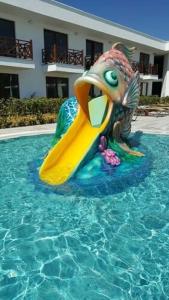 Assos Barbarossa - Special Class - 46