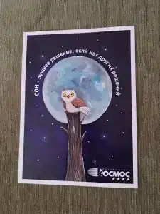 Business Cosmos - 12