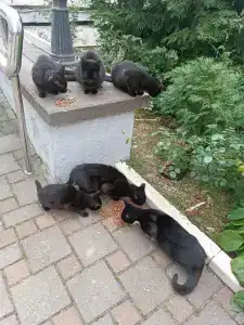 Narochanka Sanatorium - 52