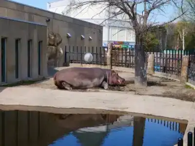 Wing International Asahikawa Ekimae - 6