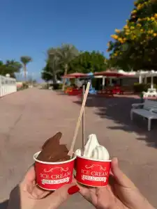 Desert Rose Resort - 21