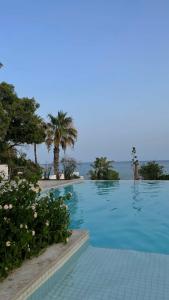Royal Azur Thalassa - 41