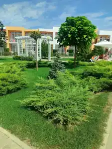 ЛетоoтеЛь - 15