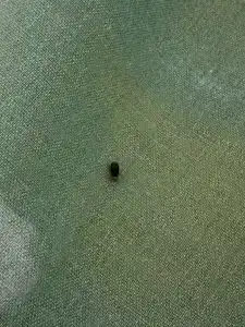 Rechnaya Recreation Center - 17