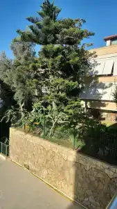 Kleopatra Atlas - Adults Only - 15