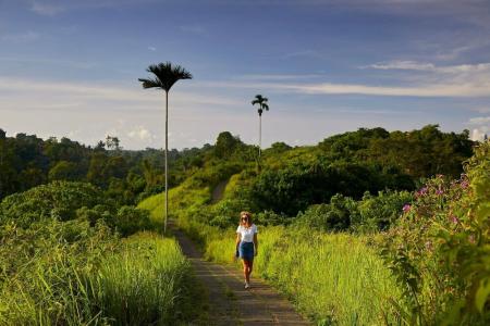 Element by Marriott Bali Ubud - 7