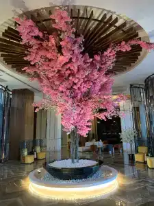 Calyptus Kirman Premium - Ultra All Inclusive - 9