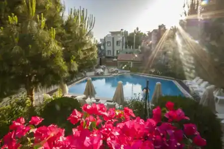 Moonshine & Suites - 4