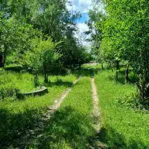 Camping Bolshaya Laba - 29