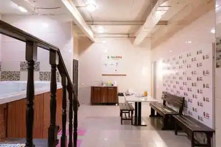 Ethno Orto Doydu - 35