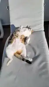 Amsterdam Boutique & Suite - 20