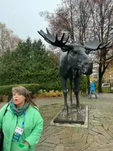 Gostinitsa Rossiya - 29