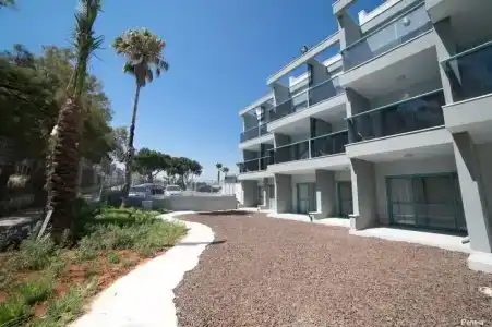 Регина Малые Клыки - 61