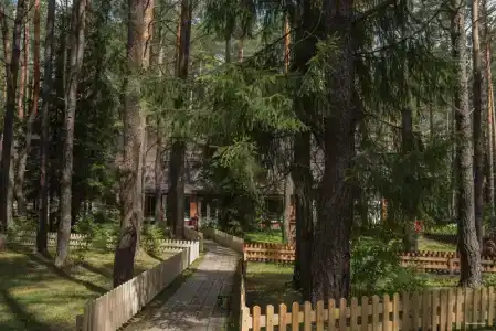 Baza Otdyha Yagodnaya Derevushka - 74