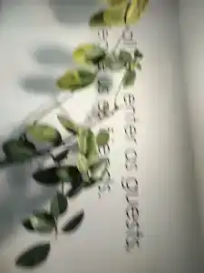 City Centre By Picnic - 48