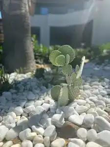 Justiniano Club Park Conti - 77