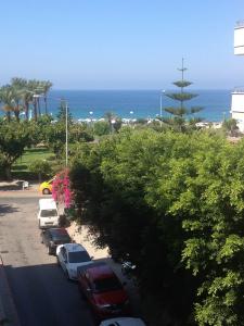 Kleopatra Carina - 38