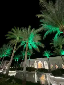 Club Reef Resort & Spa - 13