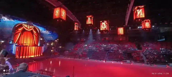 Dvorets Iriny Viner - 28