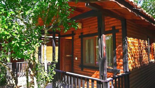 Koala Bungalows - 40