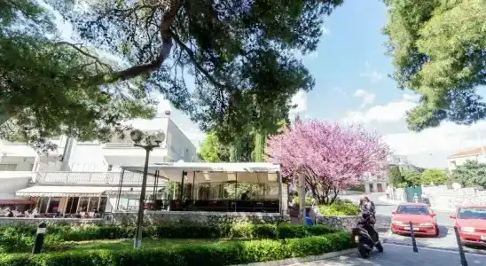 Guest House Ćuk - 5