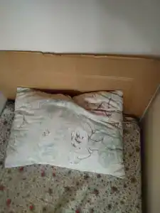 Rechnaya Recreation Center - 76