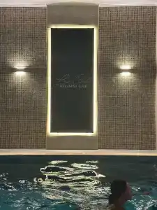 Park Dedeman Almaty - 25