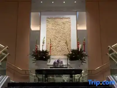 Hilton Los Angeles Airport - 24