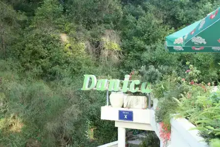Danica - 4