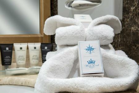 Hôtel West End - 16