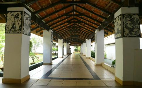 Golden Star Beach - 18