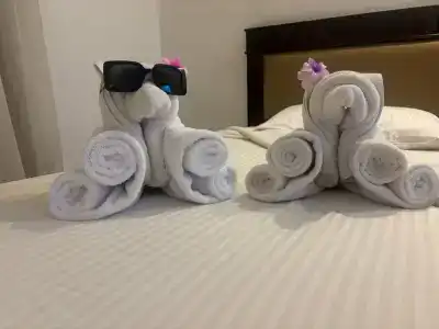 Falcon Naama Star - 12