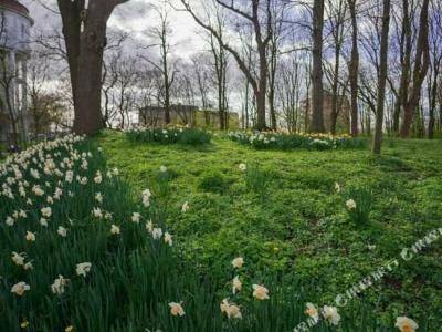 Restaurant Goldener Adler - 10